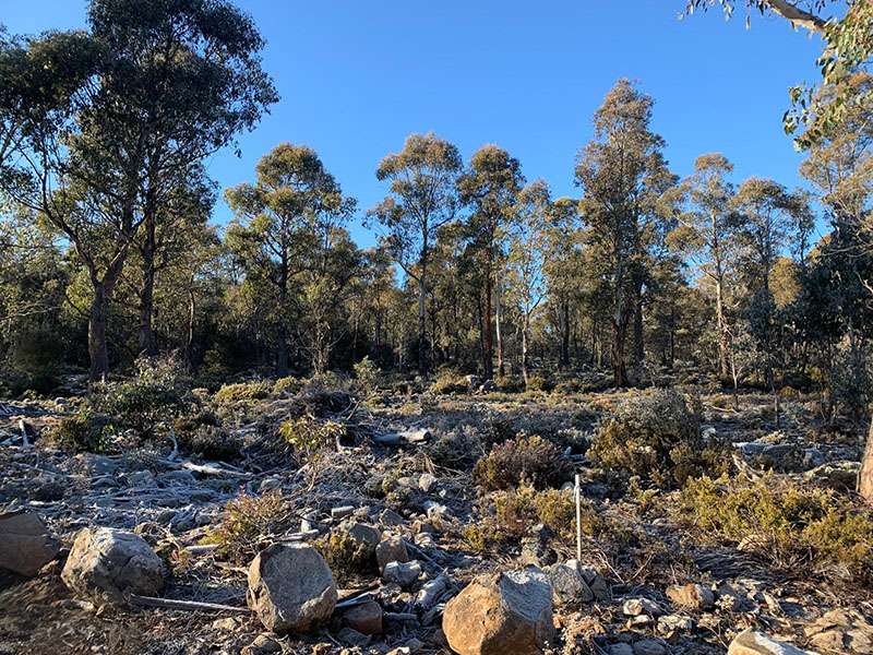 Wilderness Waters Nature Blocks